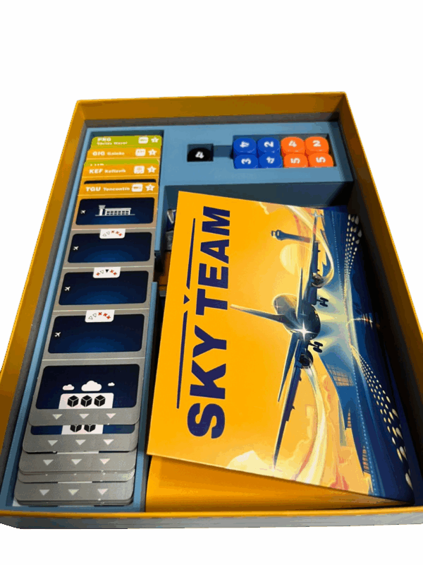 Skyteam - Insert organizador - Imagem 4